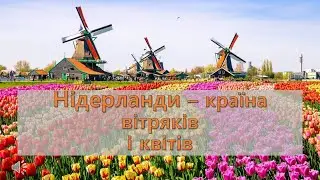 "Нідерланди – країна вітряків і квітів"