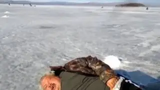 лучшие приколы