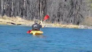 Up A Lazy River -- Spring Creek