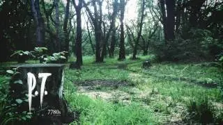 P.T. русские субтитры (Интерактивное видео)