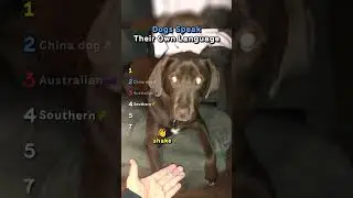 Ranking Dogs Speak Their Own Language