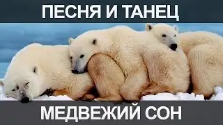 Песня и танец Медвежий сон