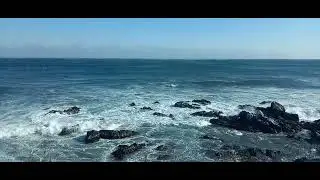 Sea Train  Gangneung
