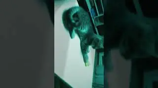 Реакция на спинер)))) шок)))_:)