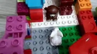 21 сентября 2020 г.