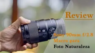 SONY 90mm Macro: El Mejor Lente Para Macro? | Sony A1 & A7IV
