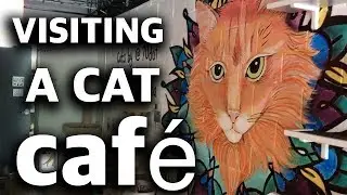 What Vet Students do During the Summer | Vet School Vlog 4