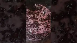 Варенье из крымской земляники, собранной в Строгановке.