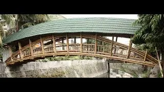 Random video of bamboo bridge