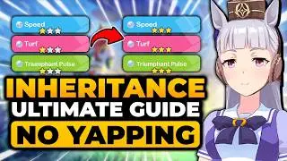 Uma Musume Inheritance Guide (FAST & EASY) | ULTIMATE GUIDE - Inheritance Uma Musume