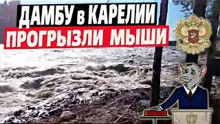 В Карелии прорвало дамбу – смыло целый посёлок! Очередной российский прорыв!
