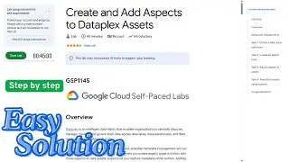 Create and Add Aspects to Dataplex Assets | 