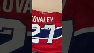 My most random NHL jersey