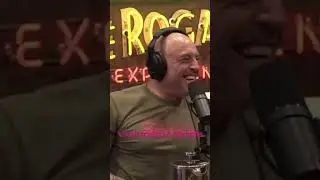 Matt Serra Plays VR With Mike Fowler! 🎮 #joerogan #joeroganpodcast