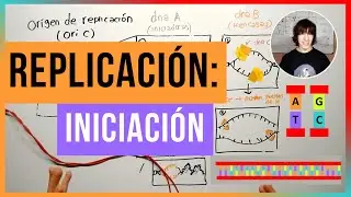 Iniciación de la Replicación del ADN (Procariotas)