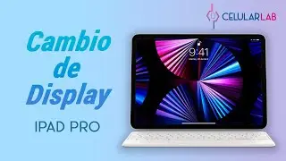 Cambio de Display iPad Pro 4ta Generación