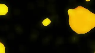 Liquid Yellow Bokeh Full Blur Lights - Free Video Background Video Stock Overlays