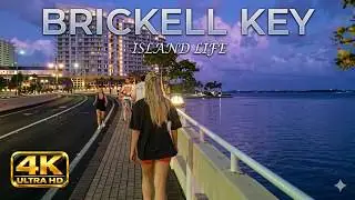 BRICKELL AND BRICKELL KEY NIGHT TOUR: STUNNING VIEWS & CITY ENERGY