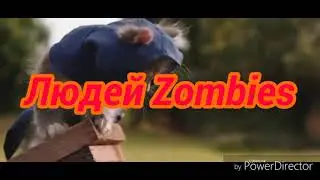 Коты ассасины против Zombies!