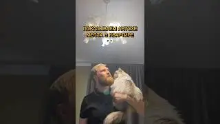 ПОКАЗЫВАЕМ АНТОХЕ МЕСТА В КВАРТИРЕ 👀🥴 #котантоха кот антон