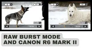 Raw Burst Mode and Canon R6 Mark II - why it really helps