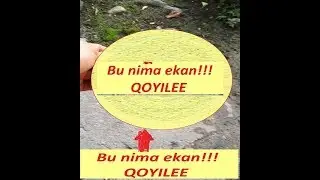 Bu nima ekan? Бу нима экан?