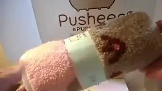 Pusheen Subscription Box --Fall 2017