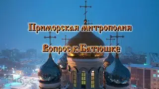 Вопрос к Батюшке. Что происходит с животными после их смерти?