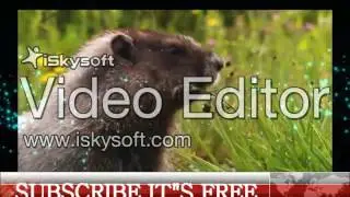Best software for video editing with Crack