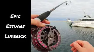 Luderick on String Weed | Introducing FLOAT CAM