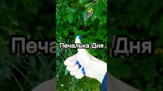 УК работу сделали, а за собой не убрали ☹️ 