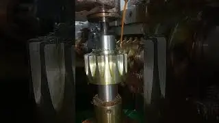 6 model 16 teeth Gair video
