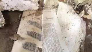 НАШЛИ ЧЕРЕП КОЗЫ НА ЗАБРОШКЕ
