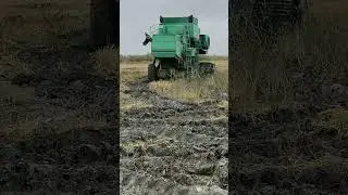 #уборкариса