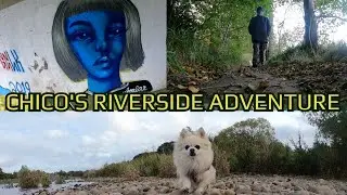 We Tested wee Chico at Inverdee Riverside. Chico's the WINNER