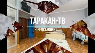 Жители больниц и не только
