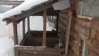 РАЗБИРАЕМ ПОЛЫ В КУРЯТНИКЕ