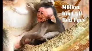 OMG!Breakheart |Gladdis hit&slapJulina cry million hurt till red face,Not enough Jade WARN Julina