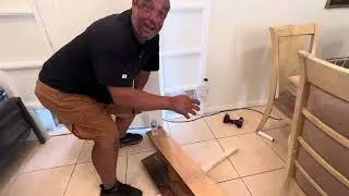 Armadilha para capturar gato fujão