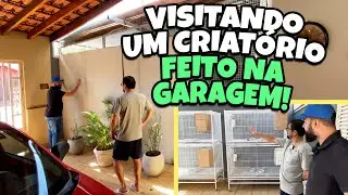 CRIATÓRIO COMERCIAL NA GARAGEM DE CASA
