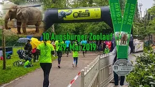 10. Zoolauf Augsburg 2019 (aus Läufersicht)