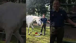 MENYEMANGATI ANGGOTA, MELESTARIKAN BUDAYA KAVALERI, MEMELIHARA KEBERANIAN, SPORTIVITAS DAN KEGAGAHAN