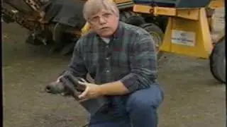 Tool Rental