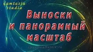 3. Выноски и панорамный масштаб Camtasia Studio