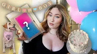 Vorbereitungen für GENDER REVEAL PARTY laufen 🩷💙 | Sonny Loops