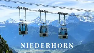 NIEDERHORN | Mountain peak in the BERNESE OBERLAND, Switzerland