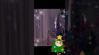 Як захистити ялинку від кота?🎅🎁/ How to protect Xmas tree from cat? 🎁 #shorts