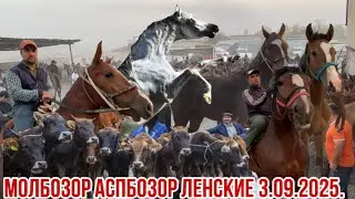 Aspbozor Molbozor Denskie September 3, 2025