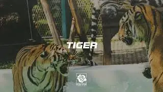 Moombahton Type Beat x House 