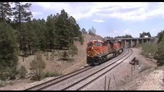 BNSF 6511 at Riordan